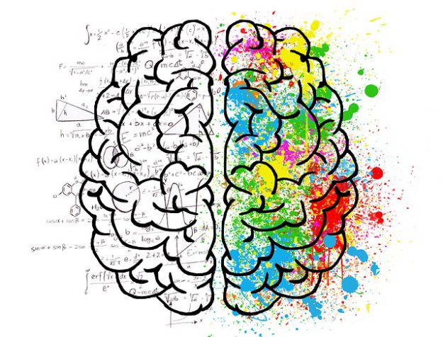 brain-2062057_640
