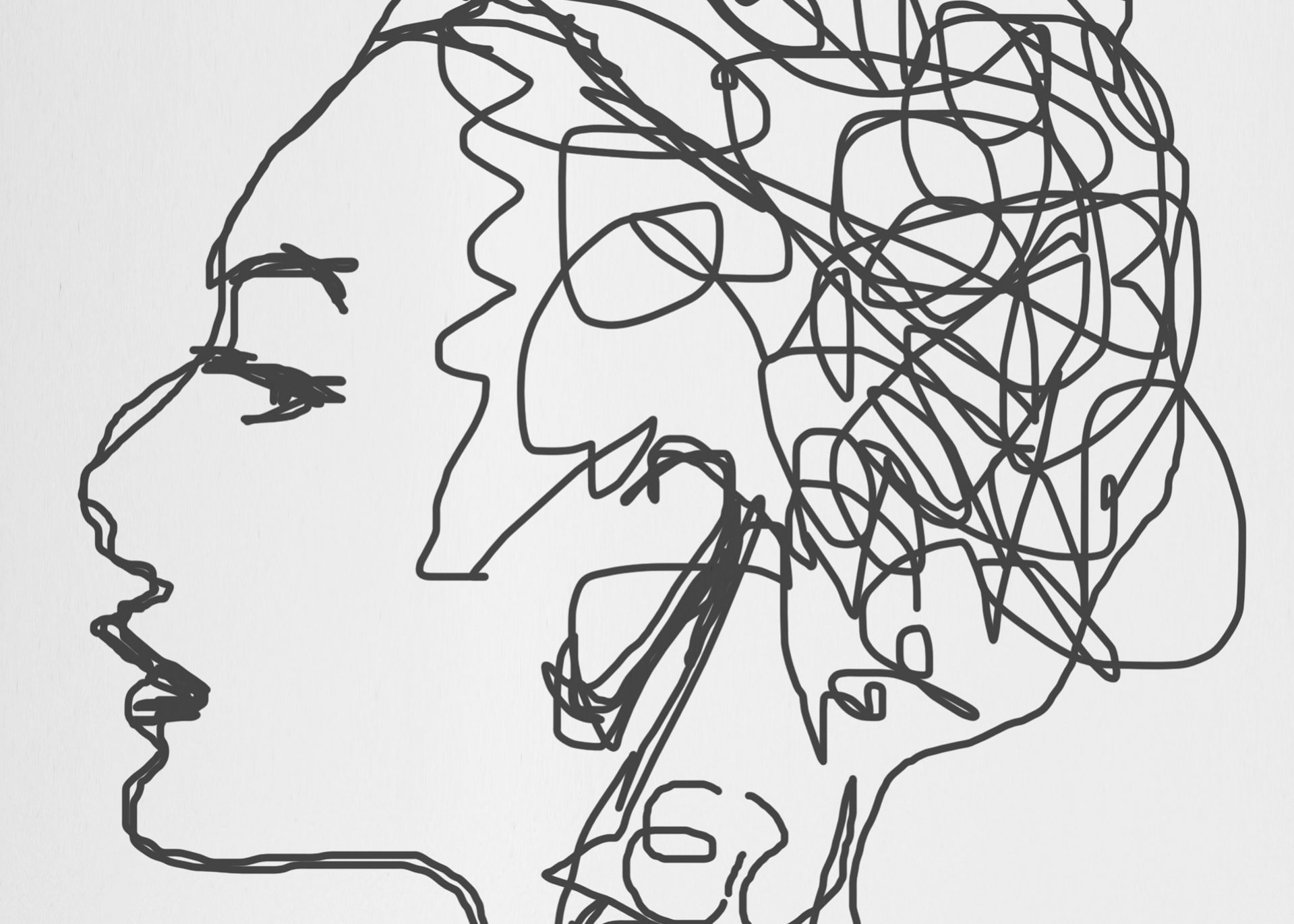 cerebro humano