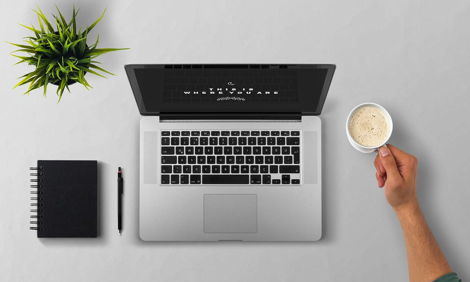 psicólogo online