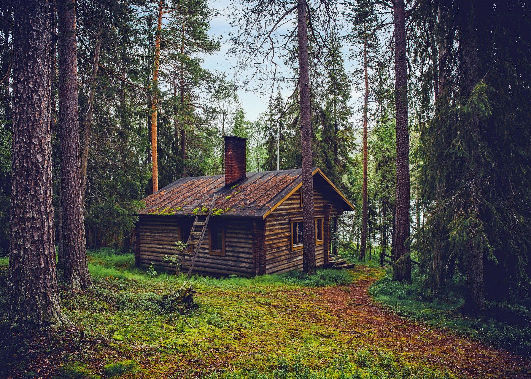 síndrome de la cabaña